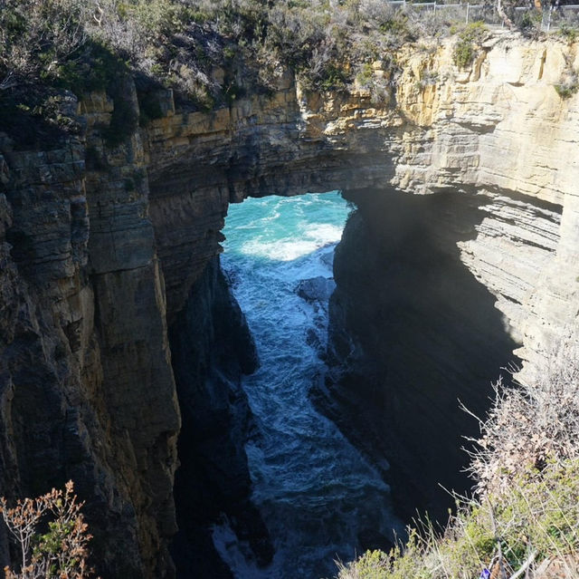 Wild Tasmania: A Journey of Untamed Beauty 