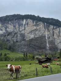   A Swiss Icon: The Breathtaking Staubbach Falls Experience 🇨🇭