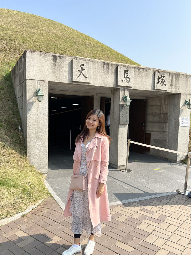 Blooming History: Cherry Blossoms at Daereungwon Tomb Complex