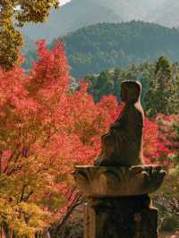 景點推薦：雷山千如寺——福岡紅葉名所與古老禪境