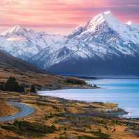 🥝3 Reasons Why You Need to Visit New Zealand Next Year