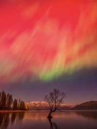 Chasing the Southern Lights: Aurora Magic in Wanaka