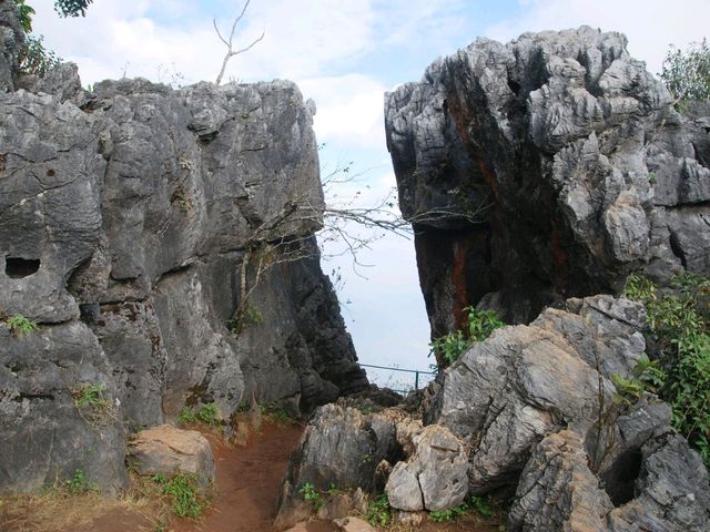 Doi Pha Tang ดอยผาตั้ง เที่ยวดอยเชียงราย