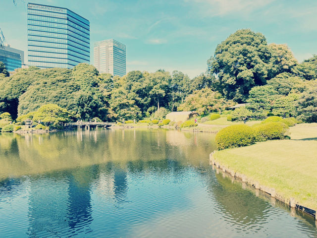 旅遊遊記：探索東京的綠洲——新宿御苑🌳🌼🌻