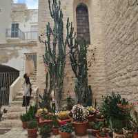 The gem of Sud- italia, PUGLIA