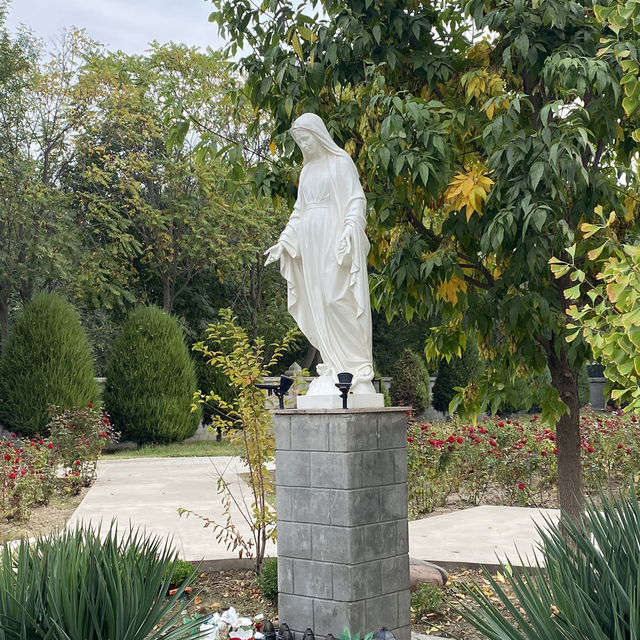 Sunday Serenity in Tashkent