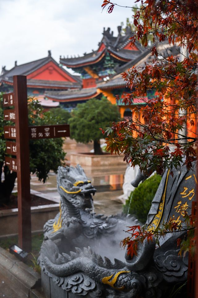 太哇塞了吧青島這個濕地公園藏著一家寺廟