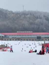 湖北人有自己的雪國冬遊神農架2天1夜攻略