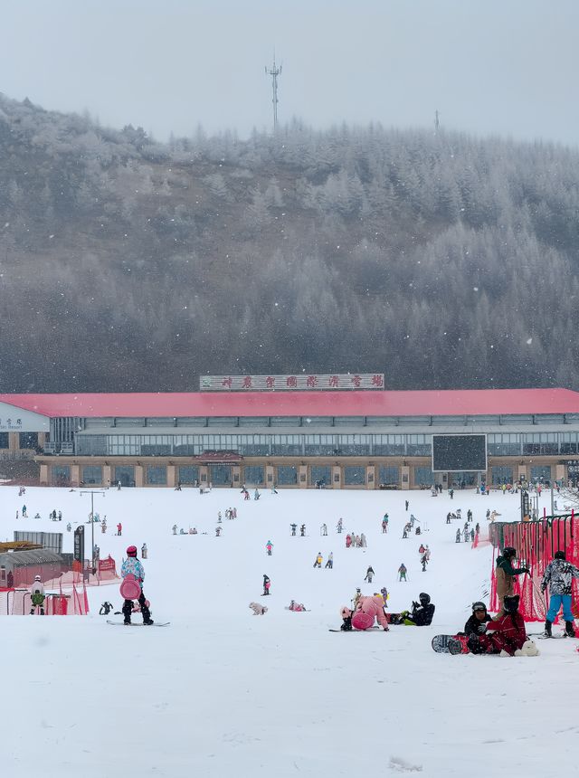 湖北人有自己的雪國冬遊神農架2天1夜攻略