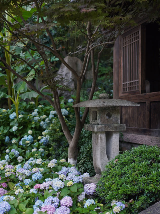 媲美京都清水寺｜杭州初夏的第一抹驚艷來自永福寺的繁花