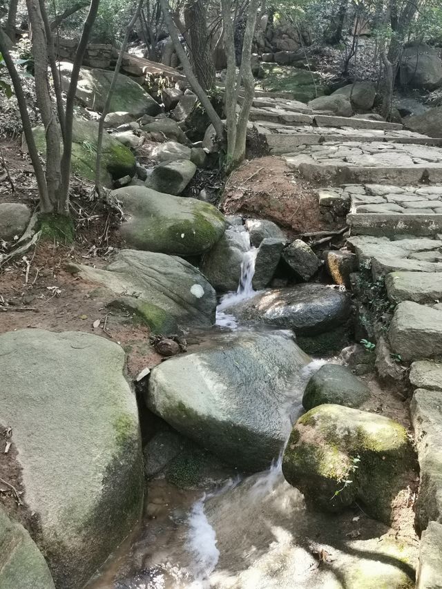 進門就是山的花山景區