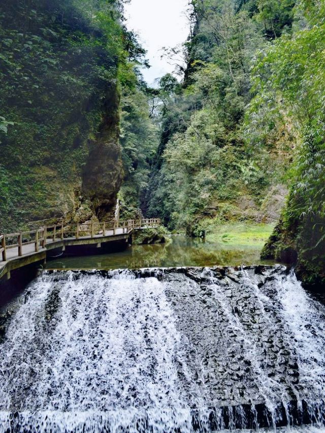 黑山谷|打卡重慶黑山谷風景區