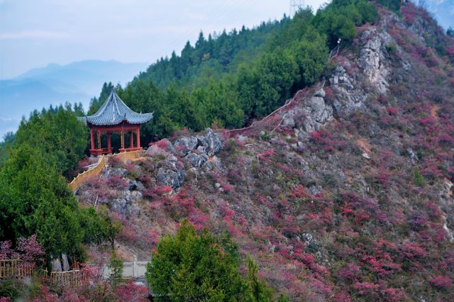 巫山紅葉‖文峰觀紅葉自駕攻略。