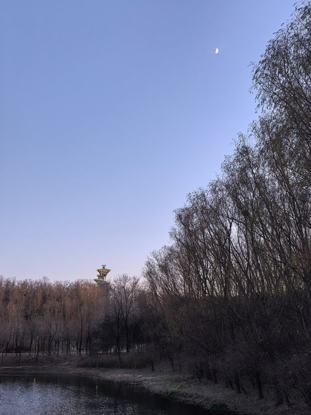 【冬日奔跑】北京奧林匹克森林公園，傍晚的健身之旅