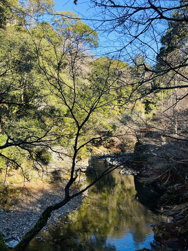 日本·京都高雄西明寺