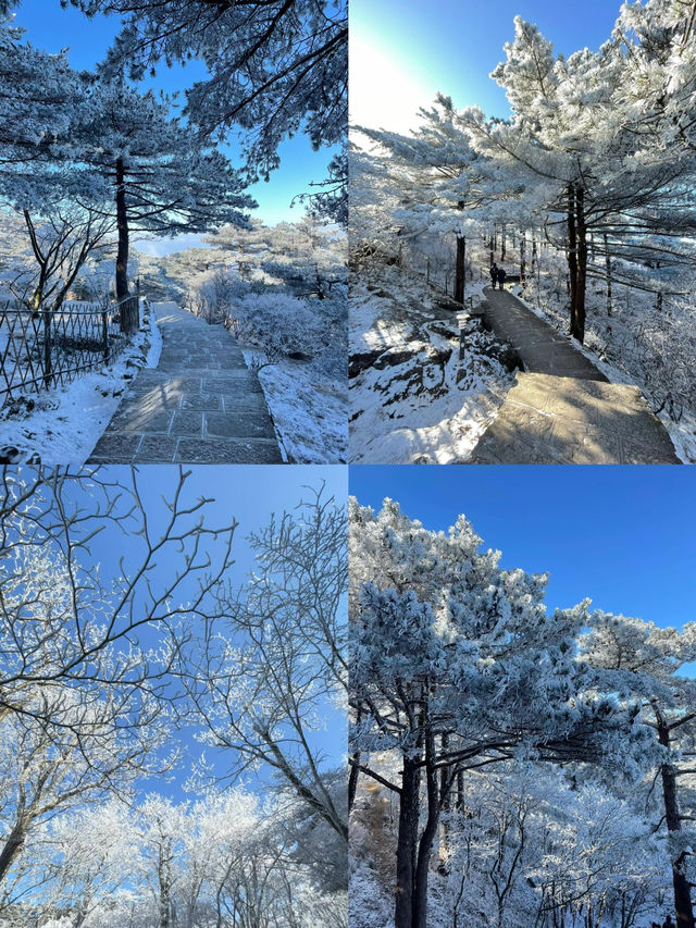 黃山自古雲成海