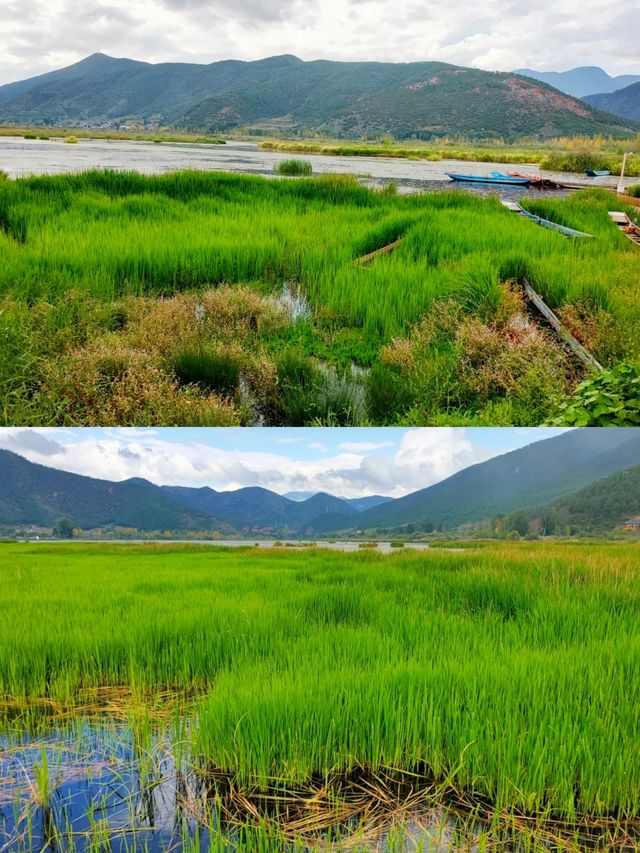 探秘四川涼山的隱藏仙境——草海