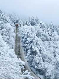 峨眉山的雪簡直封神了 | 冬季超詳細旅遊攻略