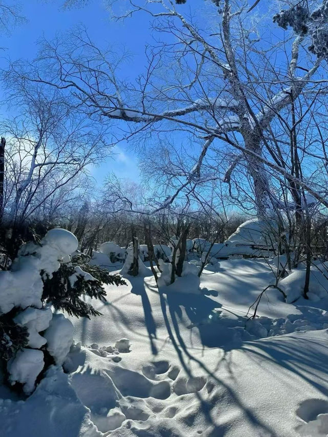 冬日遊五指山人少景美旅遊攻略