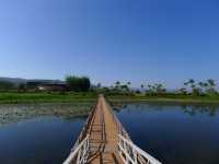 撫仙湖·月亮灣濕地公園——在雲南「看海」