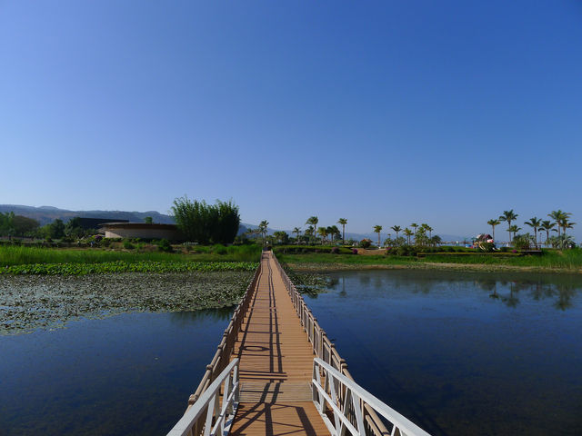 撫仙湖·月亮灣濕地公園——在雲南「看海」