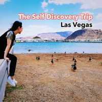 4 Days Solo Adventure in Las Vegas and Beyond