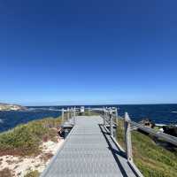 第三次探訪 Rottnest Island：美景與騎行的絕佳體驗