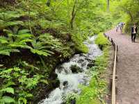 Discovering Shiraito Falls