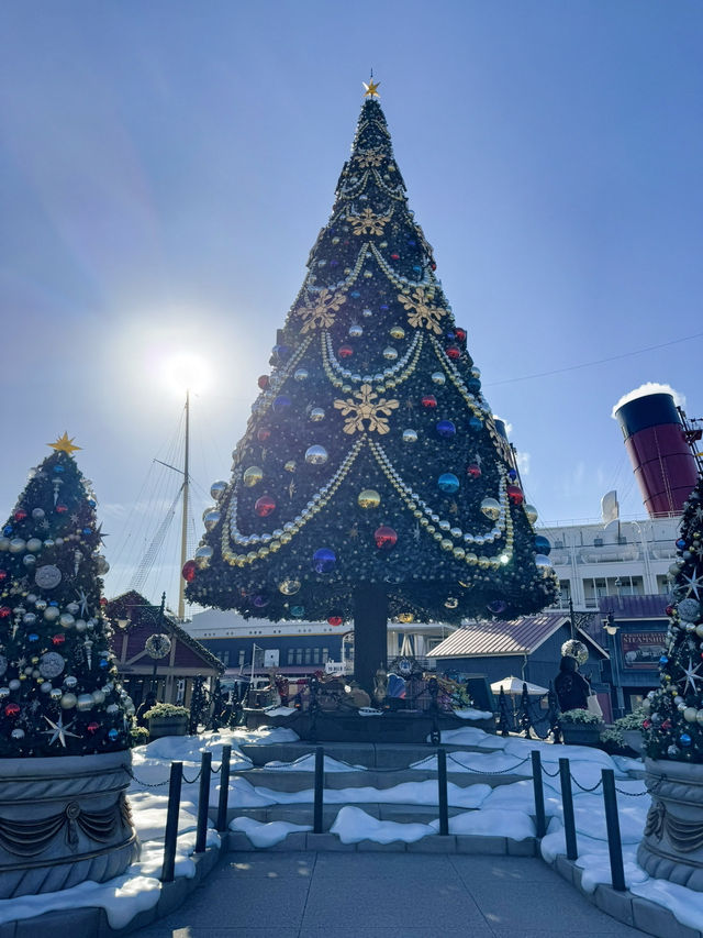 【ディズニーシー】クリスマス穴場フォトスポット