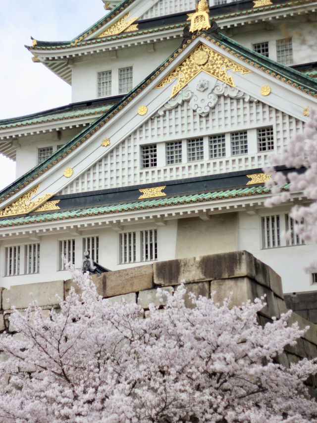 Osaka Castle in Full Bloom: A Spring time  Sakura Dream