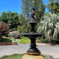 Tranquility in Bloom at Fitzroy Gardens 