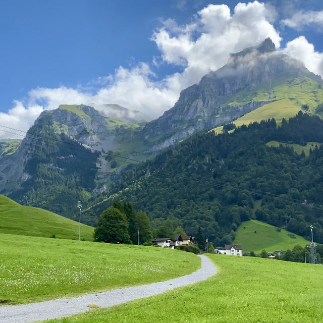 Engelberg's natural beauty 🌲