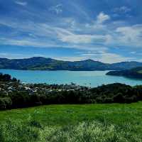 Akaroa Tour