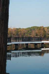 不是國外是黃興公園