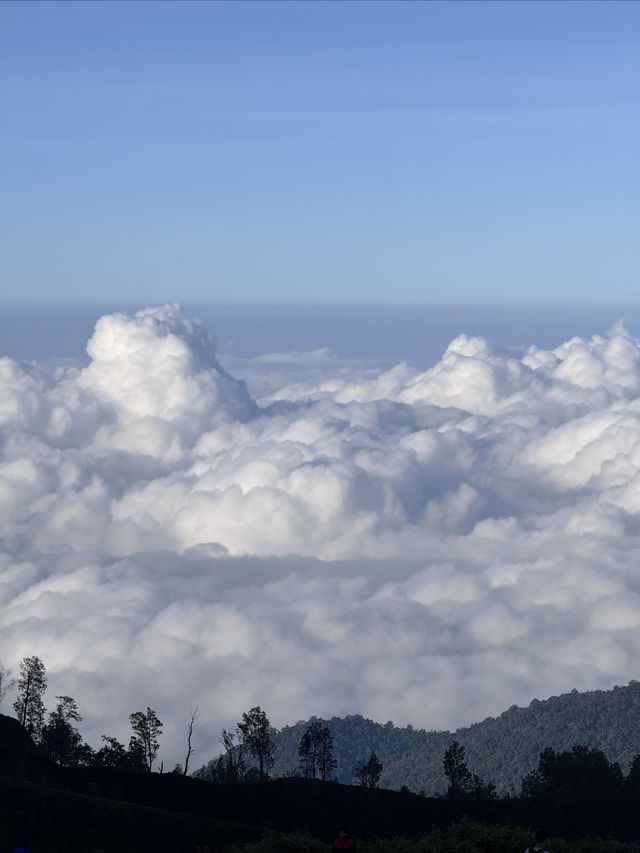 又危險又美麗——ijen火山