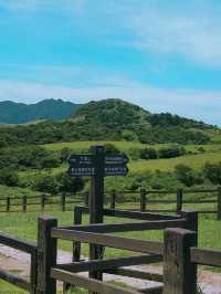 Qingtiangang Grassland is so Peacefully Awesome❤️🥰