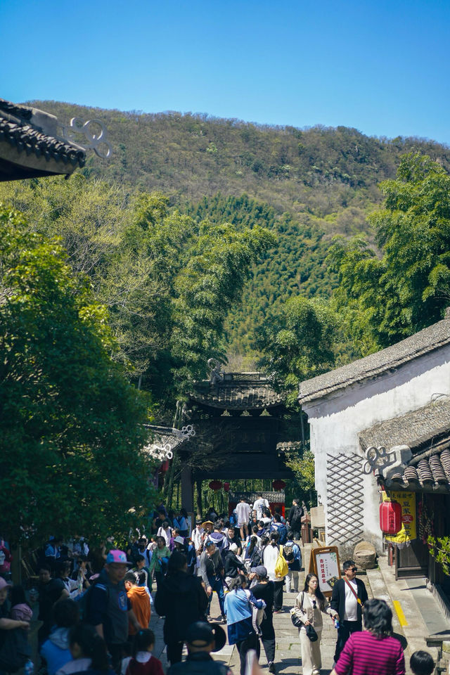 宜興挖筍之旅|南山竹海全玩但最輕鬆路線。