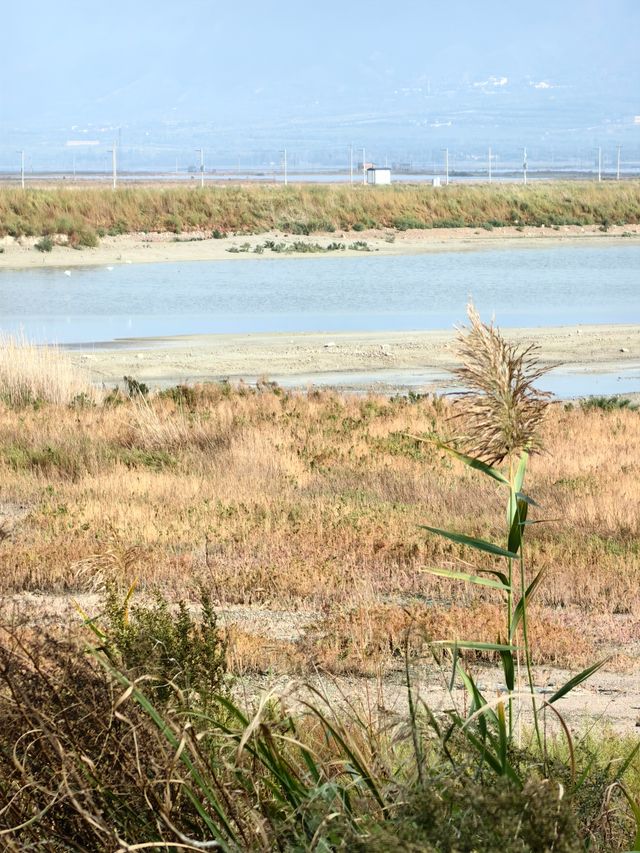 山西運城鹽湖