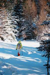 最美山西夢幻雪山管涔山：山西的阿勒泰