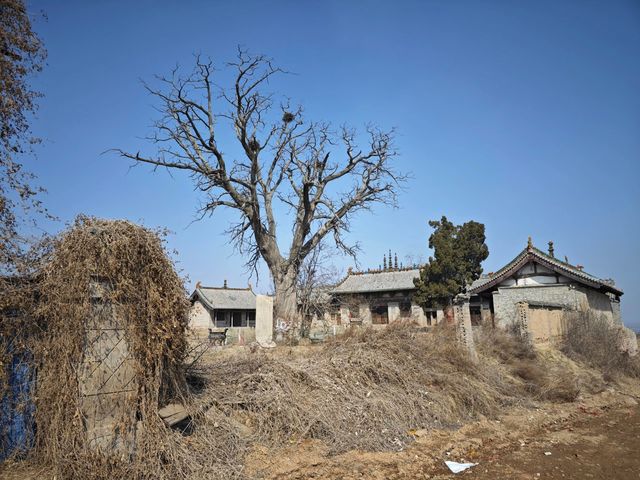 運城南柳泰山廟|晉東南早期建築