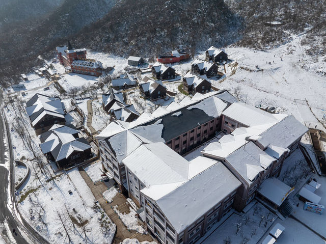 西嶺雪山滑雪指南大公開，滑雪新手也能變高手！