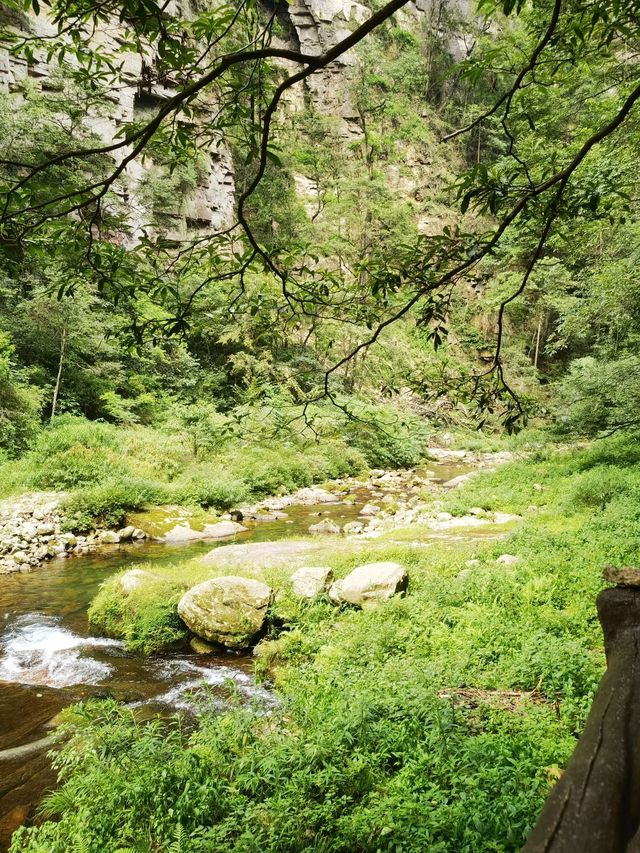 張家界-天門山-鳳凰4日遊 超詳細行程攻略必收藏