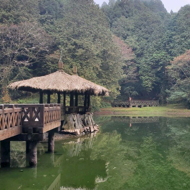 【台湾_嘉義】阿里山一泊二日の日の出ツアー！