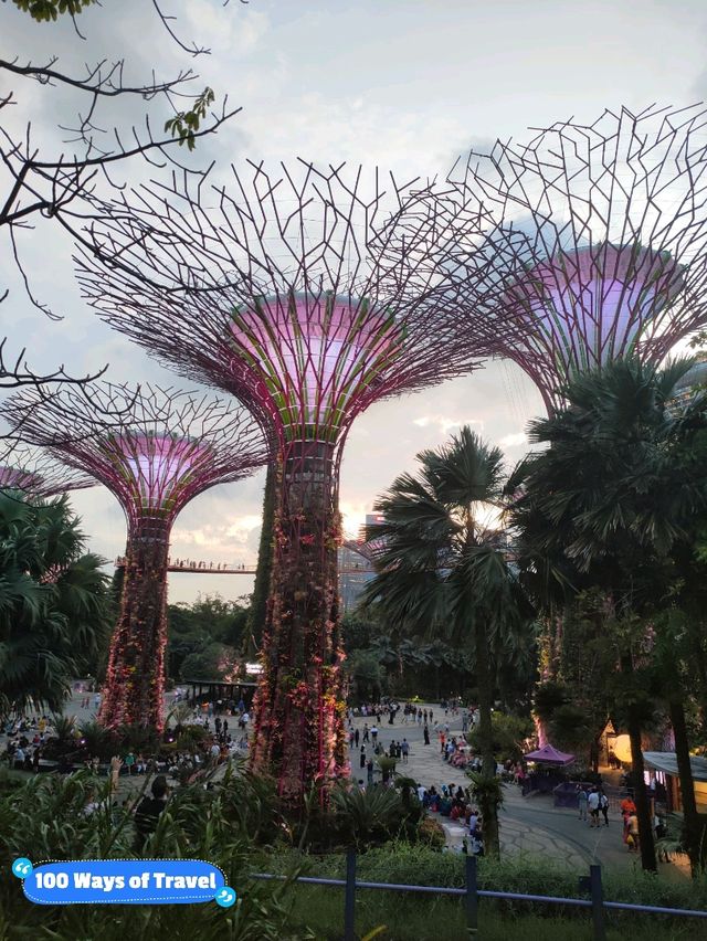 Gardens by the Bay at Night – A Beautiful Cityscape Experience