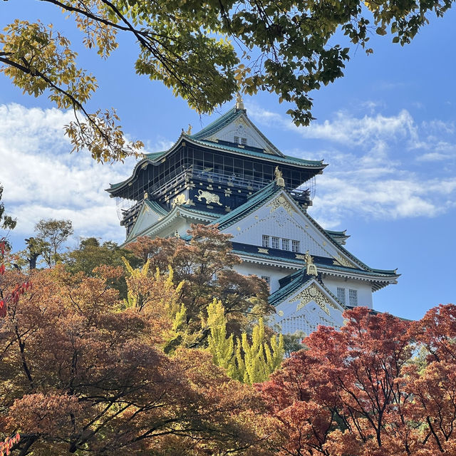 Osaka Castle 🇯🇵 Japan