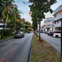 Tiong Bahru's Art Deco Buildings & Heritage Murals