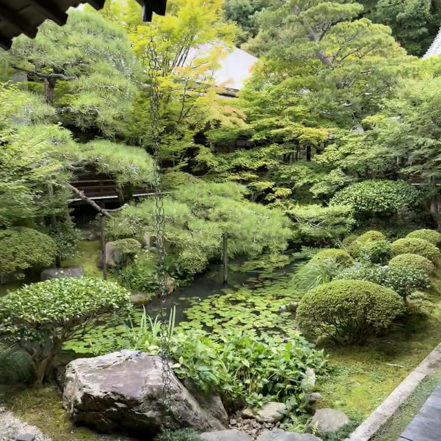 京都天授庵：禪意與紅葉交織的靜謐聖地