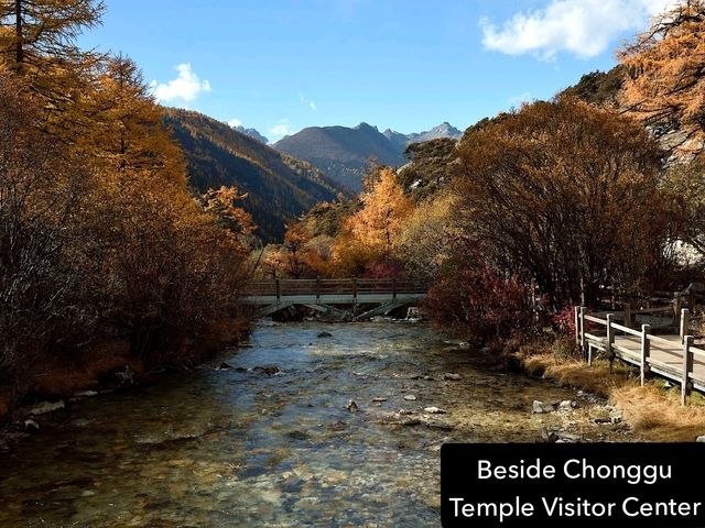 Best Autumn Viewing Experience 3/3 [Beyond Chonggu Grassland, Yading Nature Reserve]