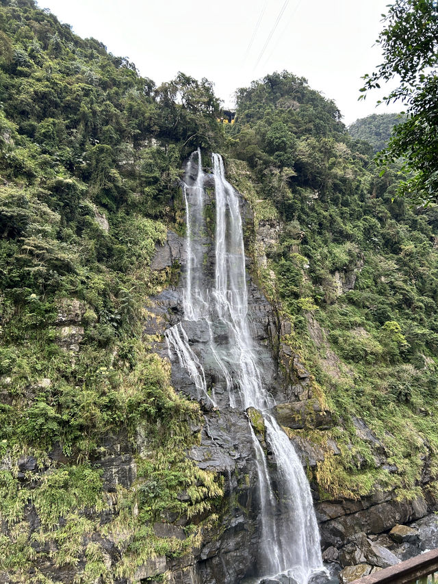 烏來好去處