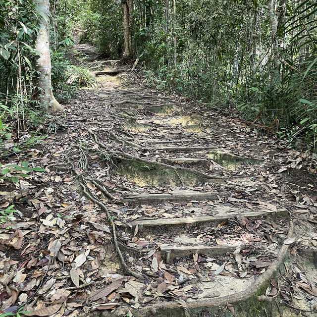 To the Land of Hornbills, Borneo